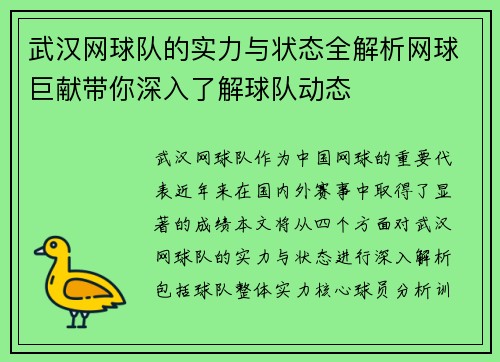 武汉网球队的实力与状态全解析网球巨献带你深入了解球队动态